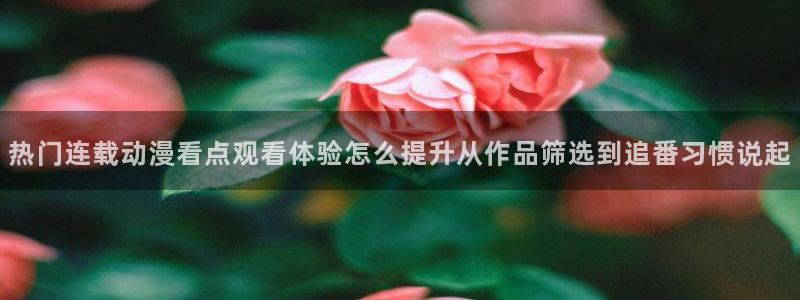 动漫今日更新