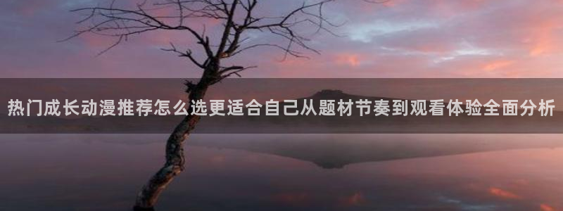 日本动画