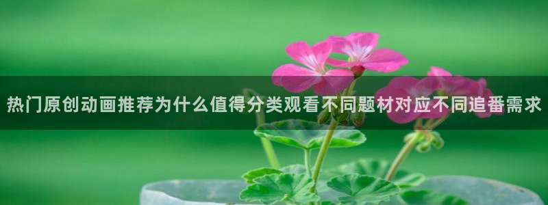 最新动漫资讯
