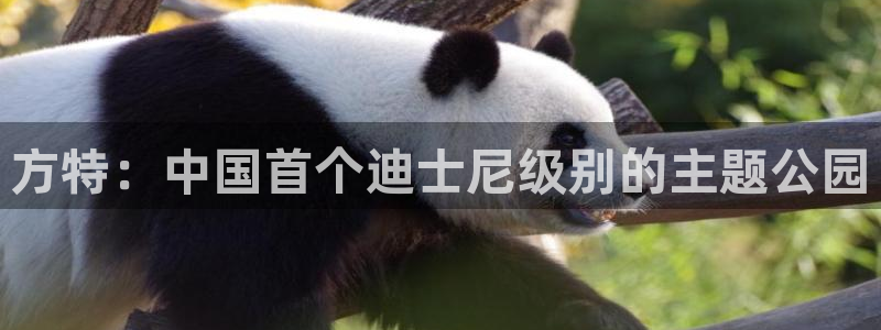 动漫网站