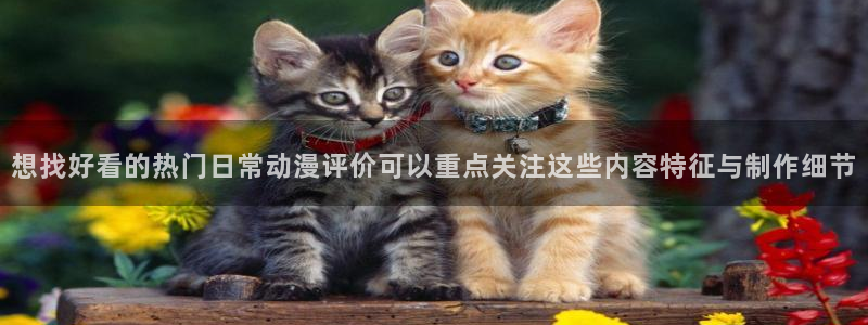 动漫人气榜