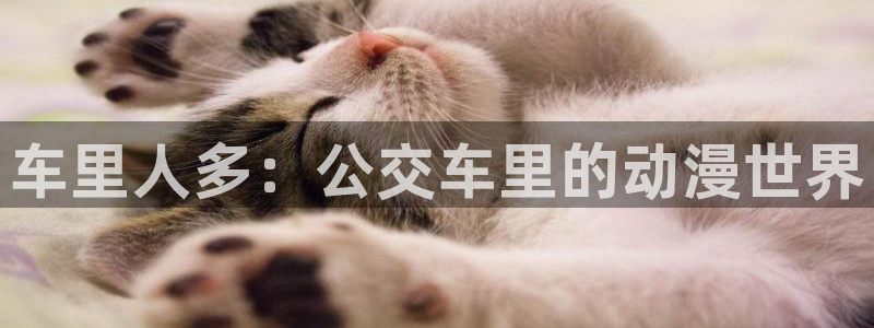 热门动漫网站