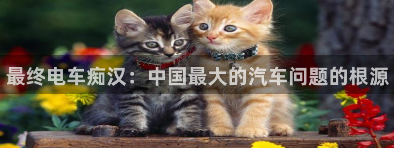 完结动漫推荐
