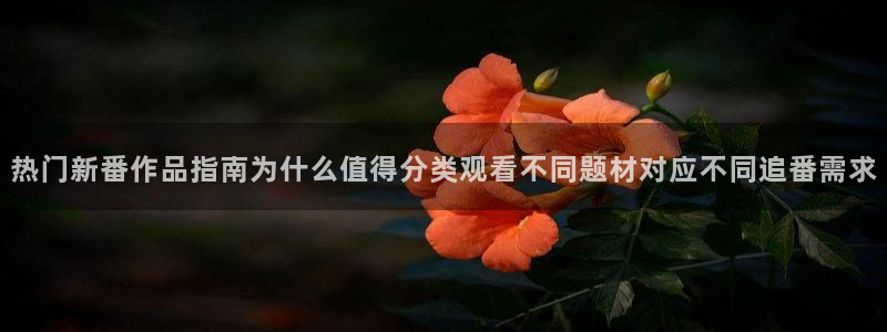 国产动漫排行