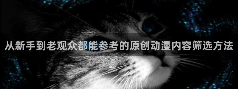 动作动漫推荐