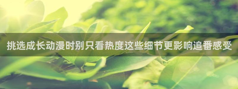 动漫查找