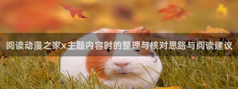 值得追的动漫：阅读动漫之家x主题内容时的整理与核对思路与阅读建议