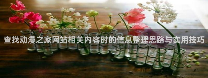 日漫：查找动漫之家网站相关内容时的信息整理思路与实用技巧