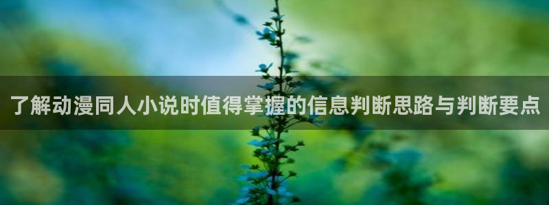 动漫网在线导航：了解动漫同人小说时值得掌握的信息判断思路与判断要点