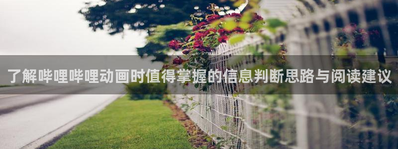 动漫简介：了解哔哩哔哩动画时值得掌握的信息判断思路与阅读建议