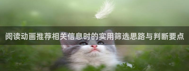冒险动漫推荐：阅读动画推荐相关信息时的实用筛选思路与判断要点