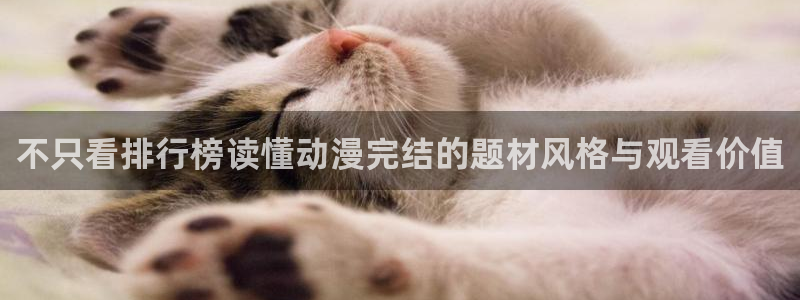 每日动漫