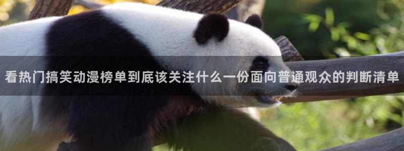 动漫更新