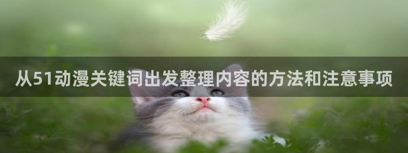 动漫今日更新